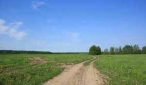 место кемпинг с палатками в лен области