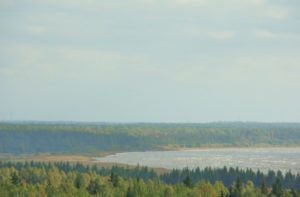Скриншот 20-07-2021 211446
